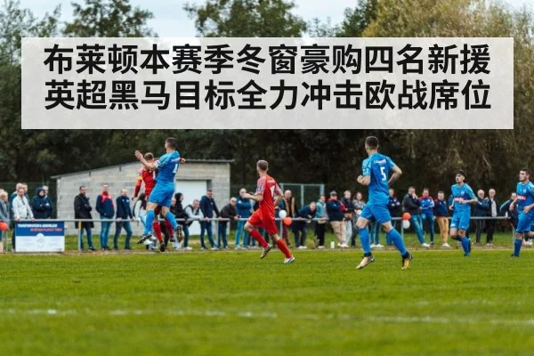 布莱顿本赛季冬窗豪购四名新援 英超黑马目标全力冲击欧战席位