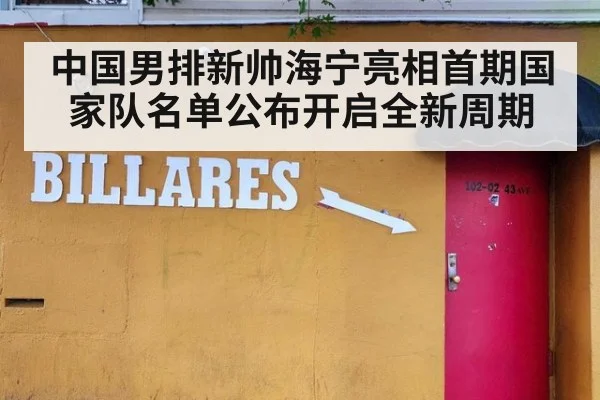 中国男排新帅海宁亮相首期国家队名单公布开启全新周期